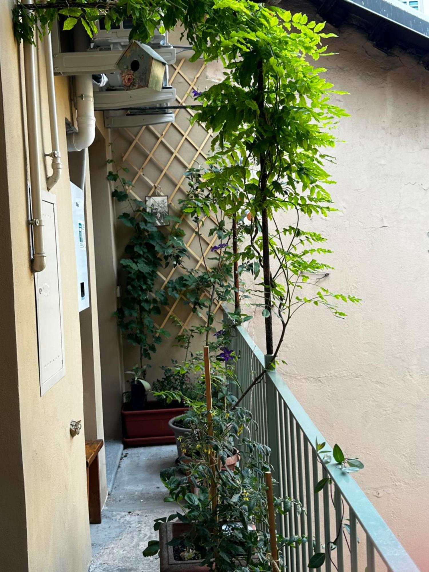 Ferienwohnung Il Balconcino Del Centro Storico Turin Exterior foto