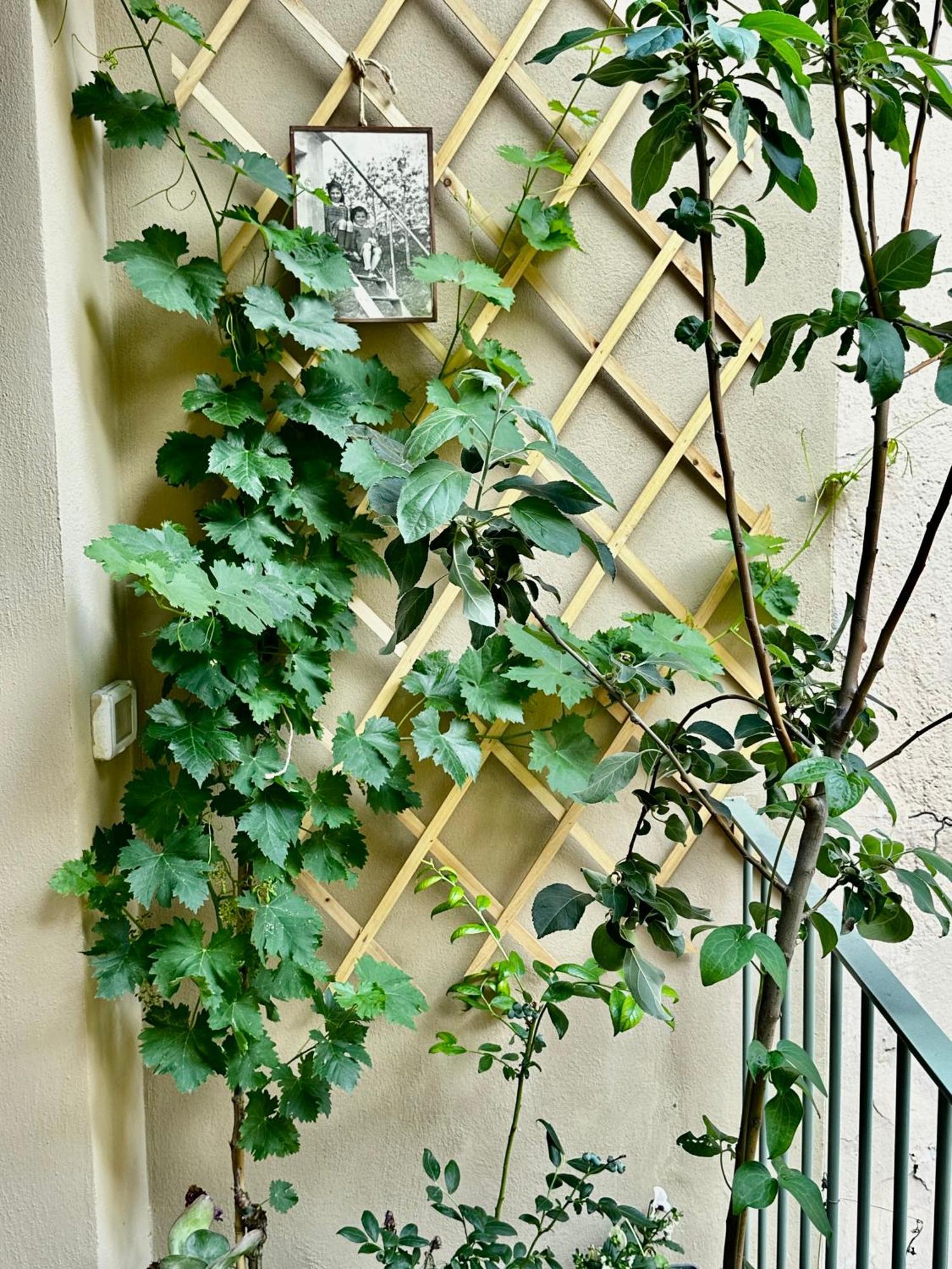 Ferienwohnung Il Balconcino Del Centro Storico Turin Exterior foto